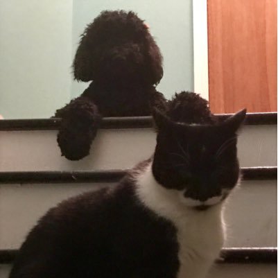 EakinsL23's profile picture. Instructional Coach and middle school social studies teacher!