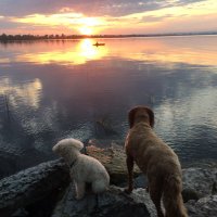 Mrs. Guglielmin (@msguglielmin) 's Twitter Profile Photo Mrs. Guglielmin (@msguglielmin) 's Twitter Profile Photo