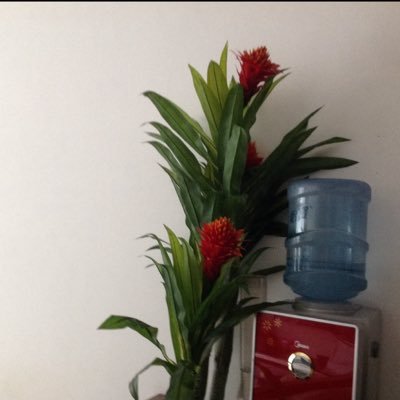 nwiyiben's profile picture. Vc