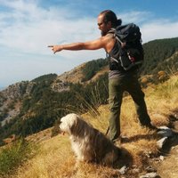 Doc Hogan (@dokhgn) 's Twitter Profile