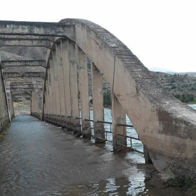 suatagcatim's profile picture. 