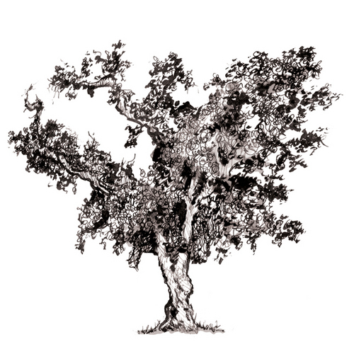 Centuryoakwine's profile picture. We are a family owned and operated winery in Northern California...with award winning wines!