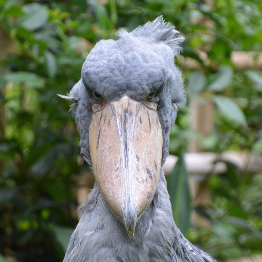 シナリオ書いたり映画観たりお散歩したり神社行ったり動物園行ったり大洗行ったり座右の銘は「美味しいものを食べてこその人生なのです」だったりガルパンガルパン。