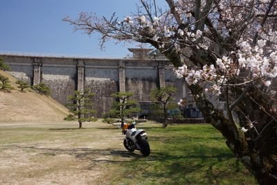 二輪が好きです。自転車も乗ります。ワッペン作ったり集めたり。あと少しだけ写真を…。
Buell XB9R/YAMAHA SR400/
PINARELLO FP UNO carbon/
nikon F2