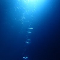 knee (@knee17) Twitter profile photo