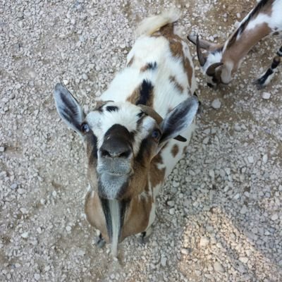 mctorre76's profile picture. 