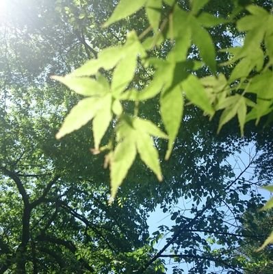 Cpride22's profile picture. 卒業したからといってハメを外しすぎるのはやめてくれよ、君たち。
好きな米は夢つくし。
コシヒカリよりうまいと思う。
ROMメインです。