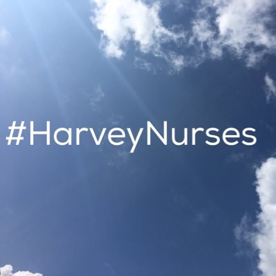 HarveyNurses's profile picture. 