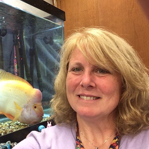 TDavisscience's profile picture. 8th Grade Science CCMS