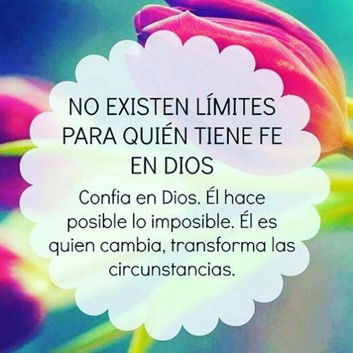 GisG14's profile picture. Jesus Christ,are our Saivor 🙏🇻🇪