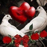 فحل كتوم (@samali68906674) Twitter profile photo