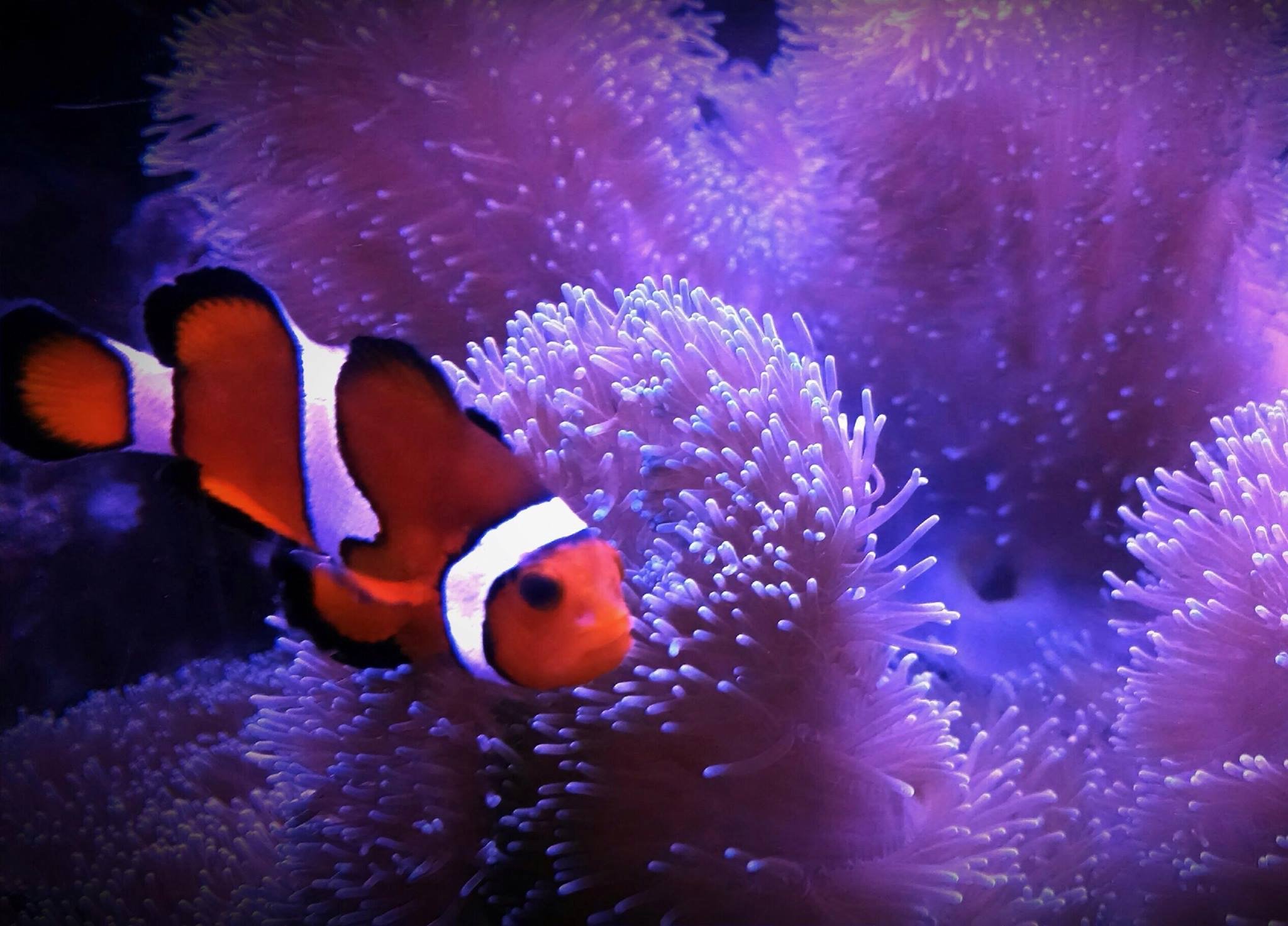 jerm0007's profile picture. 