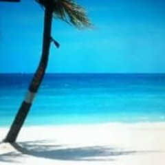 tourofjamaica's profile picture. Latest Jamaican Tourism News, Reviews and Articles, Places to stay and of interest in Jamaica. Delicious Recipes and Authentic Jamaican Handmade Gifts
