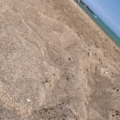Bitalpha1's profile picture. 