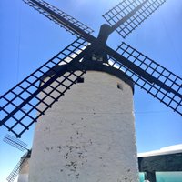 Cynthia Szczesny (@profesays) 's Twitter Profile