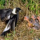 aditya arjun - @avionicbivek1 - Twitter