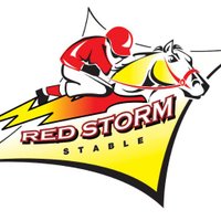 Red Storm Stable (@redstormstable) 's Twitter Profile