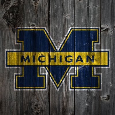 Michigan super fan