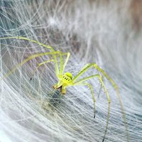 Berkeley EvoLab (@berkeley_evolab) 's Twitter Profile
