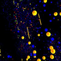 CyberSpaceSA (@cyberspacesa) 's Twitter Profile Photo