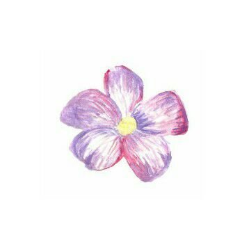 keithigneo's profile picture. ー「till the very end」