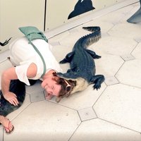Fiona Hammond (@fionahammond74) 's Twitter Profile