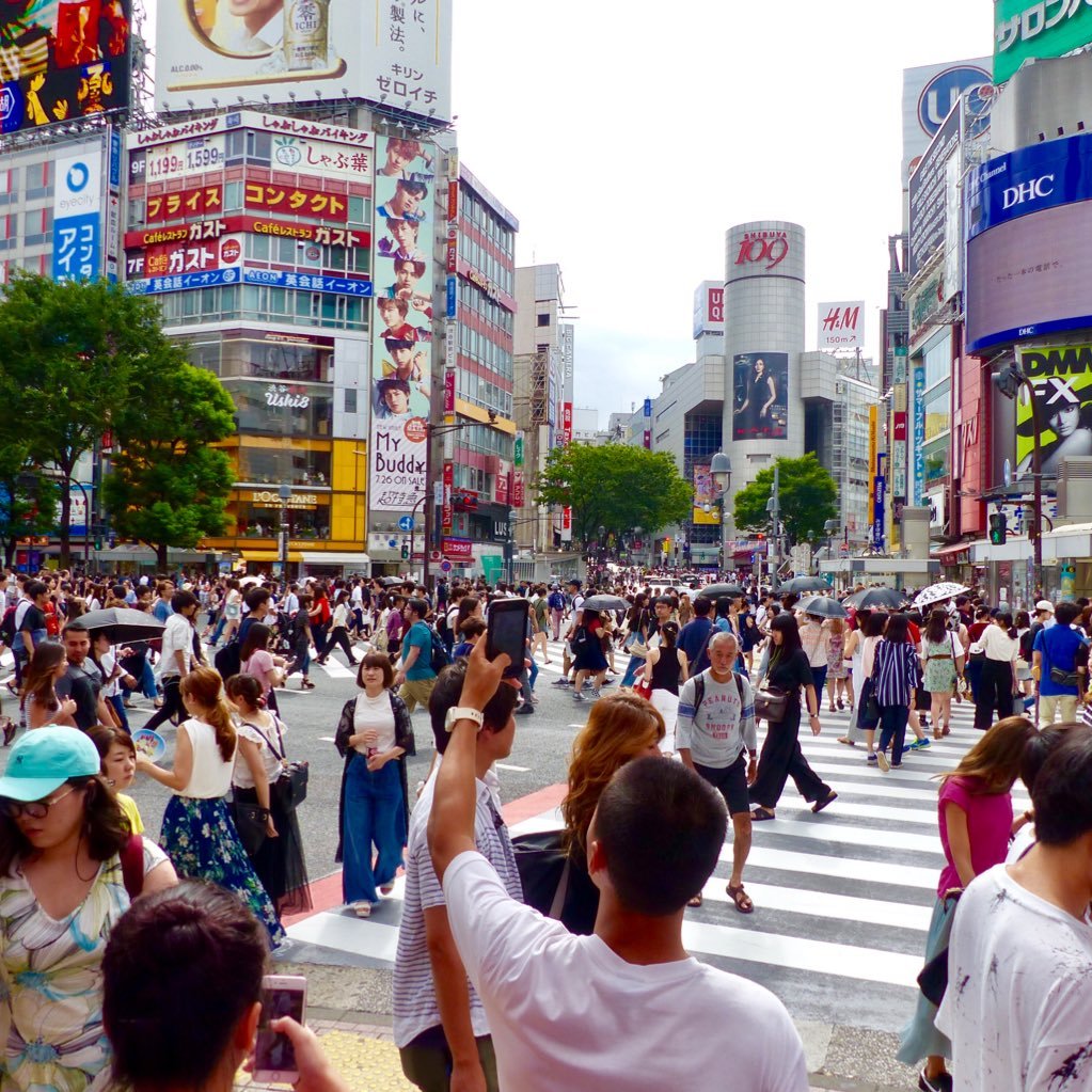 SebastienWang's profile picture. insta=sebwng