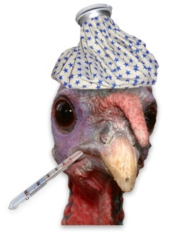 wikifictionary's profile picture. Making it up as we go along!