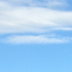 TellAlicia's profile picture. Actor, Writer, Kindred Traveler