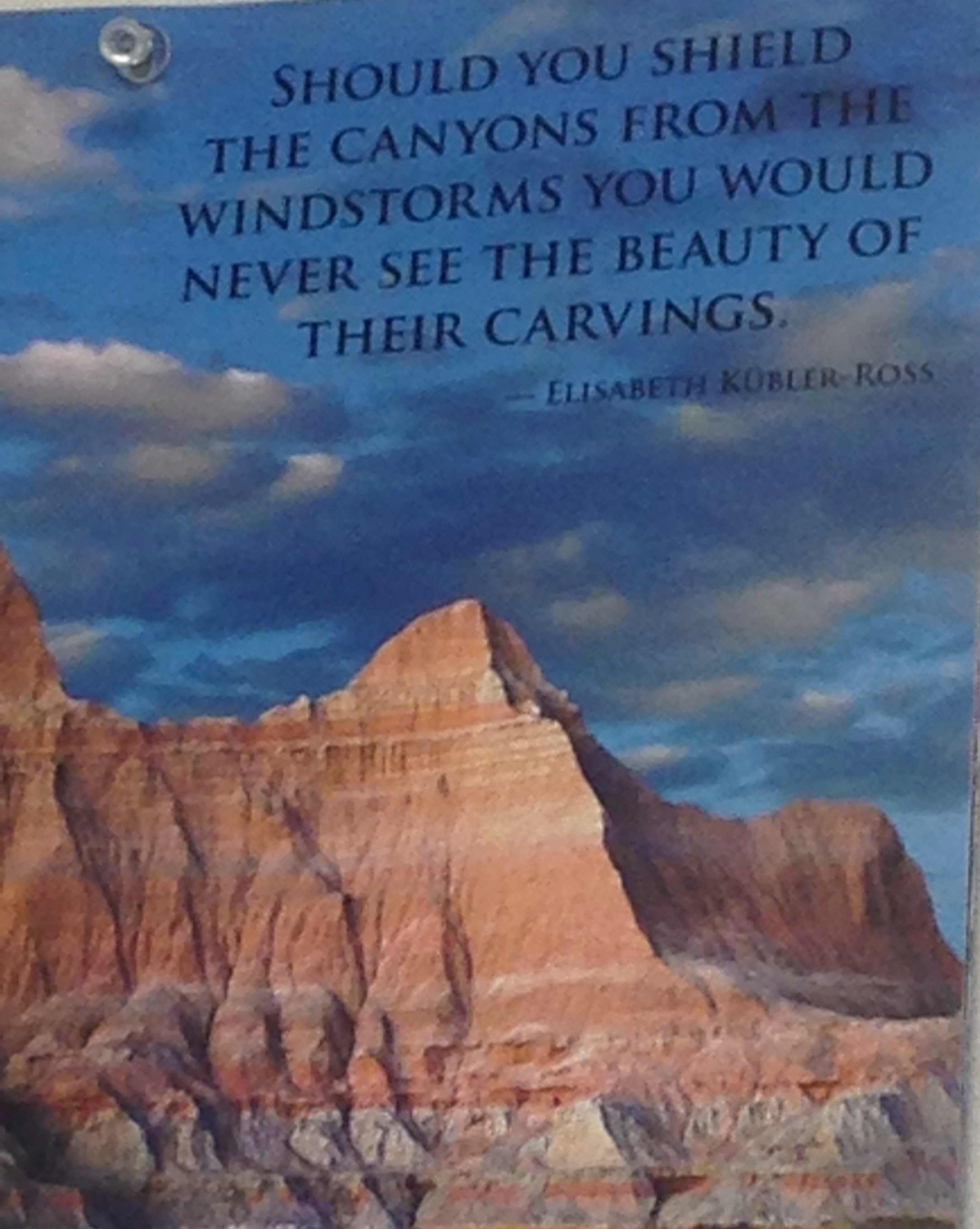 KempfAlexandrea's profile picture. 