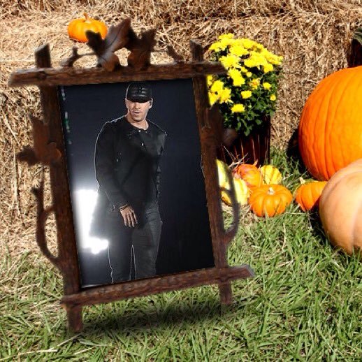 Nkotb80426453's profile picture. I have been nkotb for all my life I'm so excited if then come Ohio I'm so there We Love You nkotb ❤️🍁🍁🍁🎃🎃🎃🎃🎃🎃🎃🍁🍁