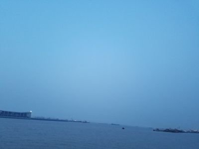 Shawn_Ross5's profile picture. prudent,smart,IT, physics,optimistic