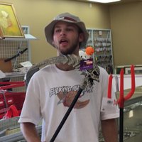 King Pfau (@alexpfau16) 's Twitter Profile