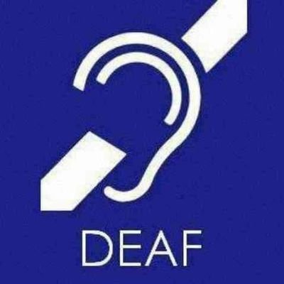 4f15XciFc5ZavoX's profile picture. 뮤직 뮤직 뉴스 TV