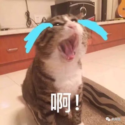 tepid_universe's profile picture. 