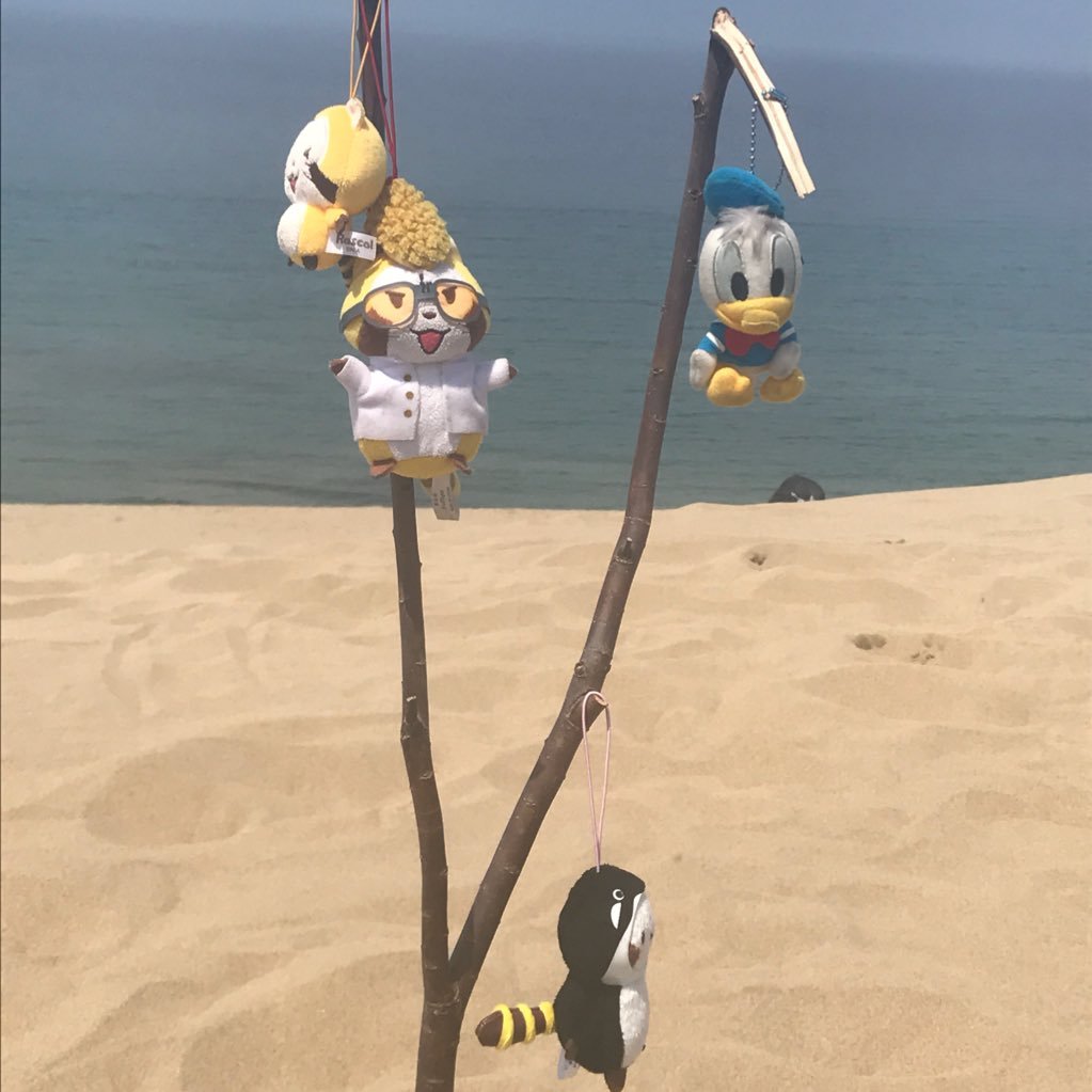 aIWNXN0uiqR5ebK's profile picture. 前のアカウントが乗っ取られたので新しく作り直しました 藍野大学 看護学科