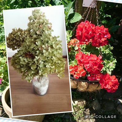 kunhayk's profile picture. Apple Teacher