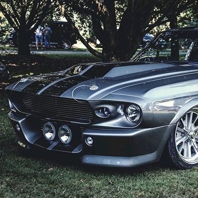 alex1806's profile picture. 