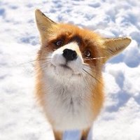 Lynsey Heald RN 💙 (@lynseyheald) 's Twitter Profile Photo Lynsey Heald RN 💙 (@lynseyheald) 's Twitter Profile Photo