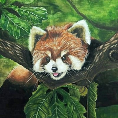 pjsk0411's profile picture. 소원성취하시길~!!