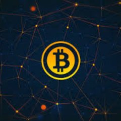 bitex_co's profile picture. 
