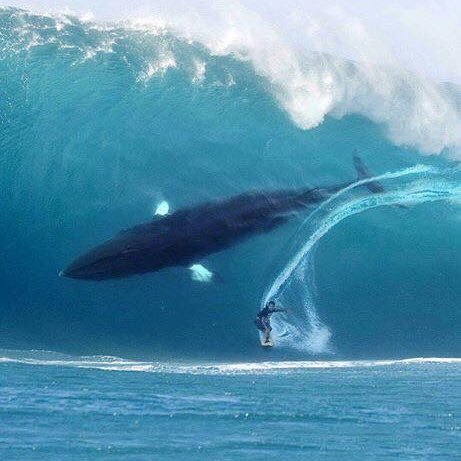 hirosano7's profile picture. 美味しい料理と酒があれば幸せ！