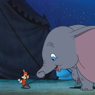 b0a9114ade274e0's profile picture. 急骸形成不全症てしってる？笑笑　
知らないかな笑笑
気ままに浮上