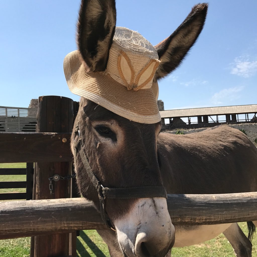 ThoPla1973's profile picture. 