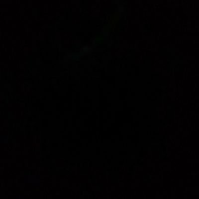 mottimottimotto's profile picture. 