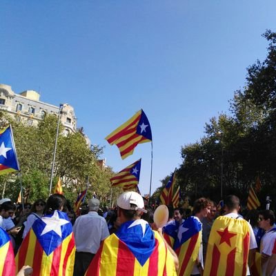 Catalana, forta i lliure