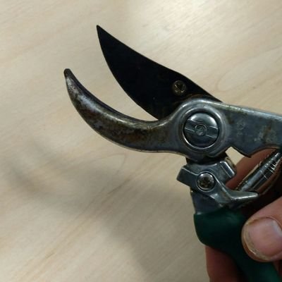 TheGreenNiggle's profile picture. The hidden eco-warrior, helping to right sustainable wrongs one cleared cycle path or replanted border at a time.