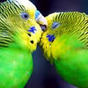 Karan kumar (@092karan) Twitter