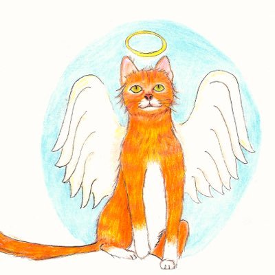 Pumpkin the Angel Cat is a children's story/series that teaches faith, love and Gods grace thru His son Jesus Christ.