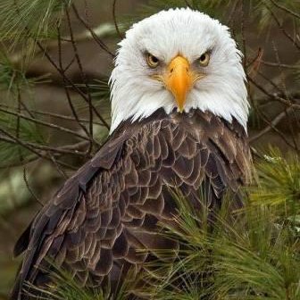 MandicM11's profile picture. ☀ Heliocentricna ☀